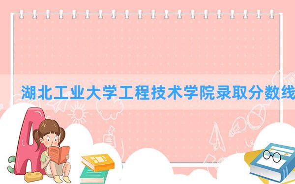 湖北工业大学工程技术学院2024年在海南录取分数线和最低位次排名？附近三年录取分数线