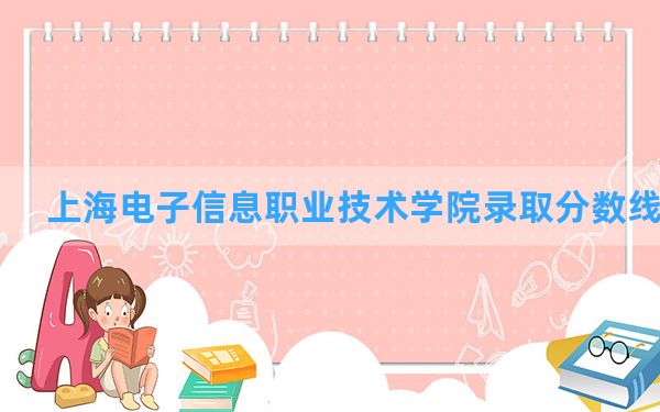 上海电子信息职业技术学院2024年在海南录取分数线和最低位次排名？附近三年录取分数线